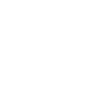 decorative logo star