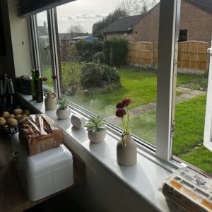 A window view of Homes2inspire garden